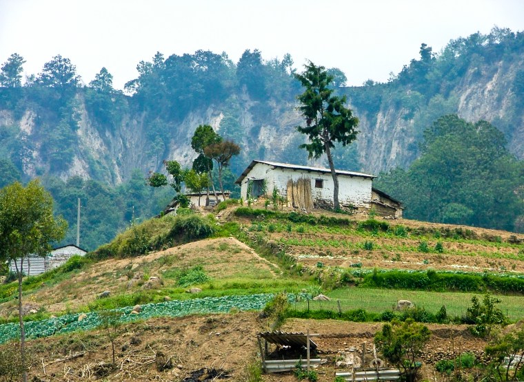 Farm With Terraces